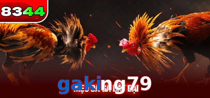 Đá gà gaking79 có sức hấp dẫn